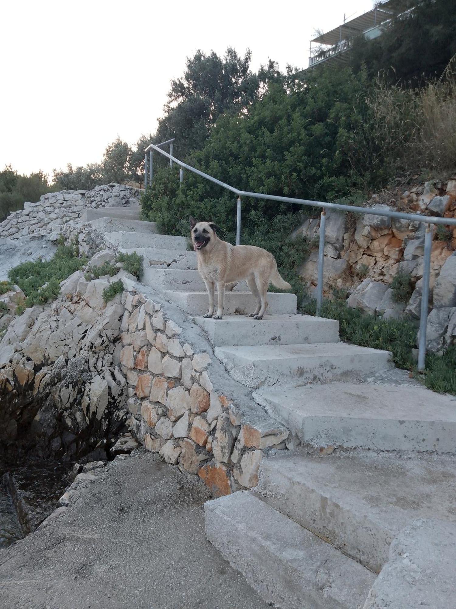 Villa Pinky And Superior Trogir Seget Vranjica Buitenkant foto