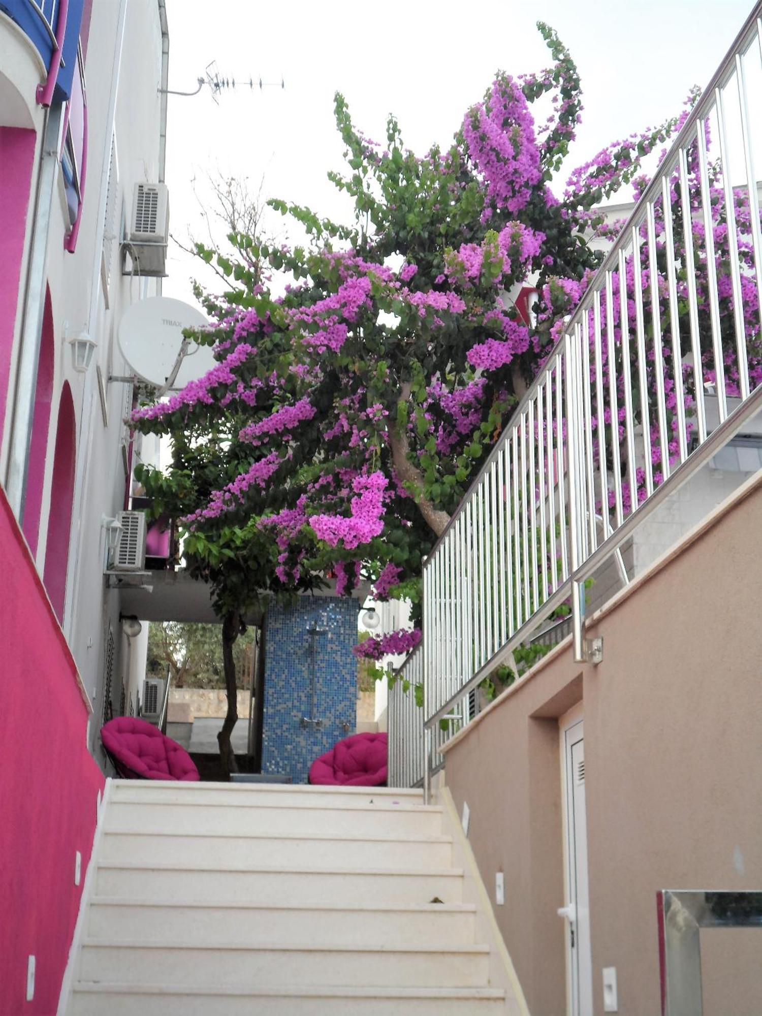 Villa Pinky And Superior Trogir Seget Vranjica Buitenkant foto